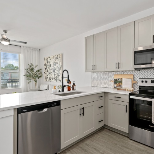 Model Home One Bedroom Interior Interior Kitchen and Living Room